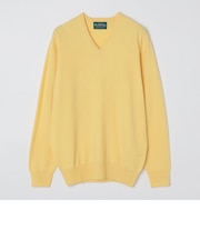 ALAN PAINE: 12ゲージ カシミヤ Vネックニット