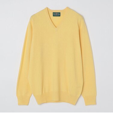 ALAN PAINE: 12ゲージ カシミヤ Vネックニット