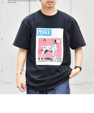 SHIPS any: The Saturday Evening Post プリント Tシャツ◇