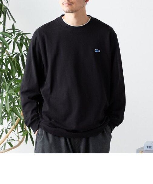【SHIPS any別注】LACOSTE: ワンポイント ピケ クルーネック Tシャツ (ロンT)◇
