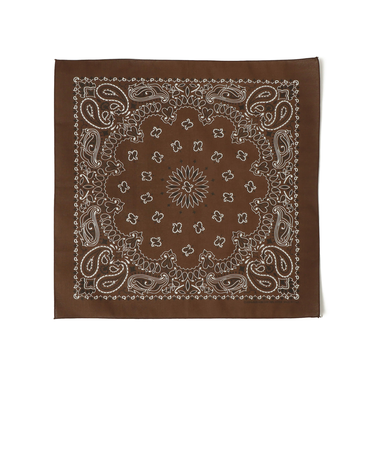 USA PAISLEY BANDANNAS:ペイズリー バンダナ
