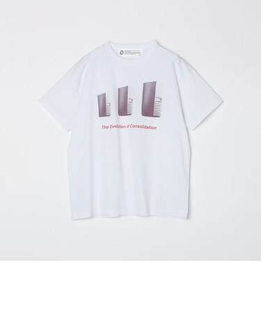 Ophrys: THE EVOLUTION OF CONSOL