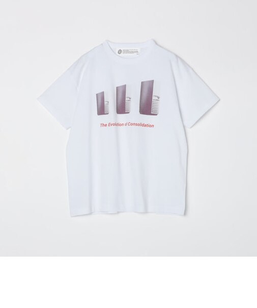 Ophrys: THE EVOLUTION OF CONSOL