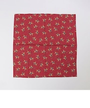 ROCKMOUNT: USA BANDANAS