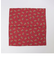 ROCKMOUNT: USA BANDANAS