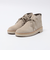 CLARKS: DESERT BT GORE-TEX(R)