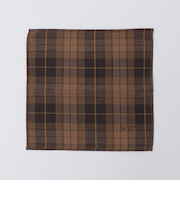 SHIPS: チェック ハンドタオル