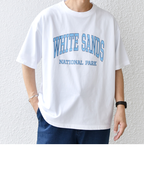 SHIPS any: NATIONAL PARK ヴィンテージライク プリント Tシャツ◇