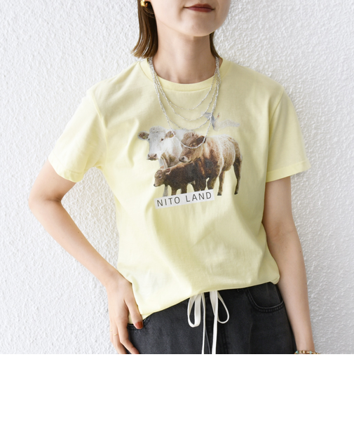 【SHIPS別注】ACASAM: フォト TEE