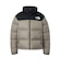 THE NORTH FACE: Nuptse Jacket/ヌプシ ジャケット 26AW