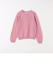 【SHIPS any別注】Harley of Scotland:〈手洗い可能〉シェットランド クルーネック ニット 25AW