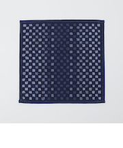 【一部WEB限定】SHIPS Colors:パイル ハンカチーフ