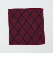 【一部WEB限定】SHIPS Colors:パイル ハンカチーフ