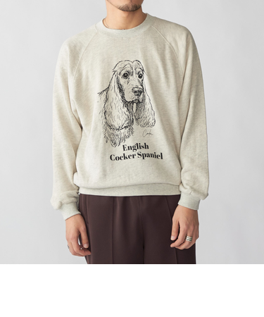 SHIPS: ドッグ プリント スウェット ロングスリーブ