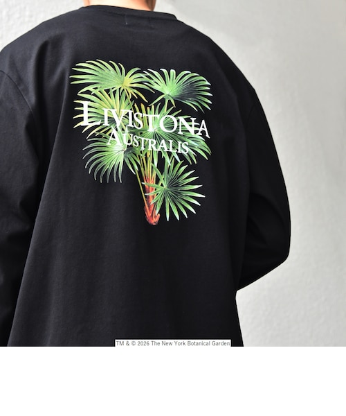 &mall（アンドモール）三井ショッピングパーク公式通販