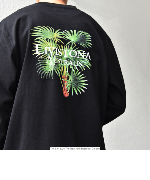 【SHIPS any別注】NYBG: ボタニカル プリント リラックス Tシャツ (ロンT)◆