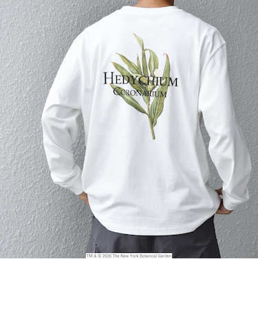 【SHIPS any別注】NYBG: ボタニカル プリント リラックス Tシャツ (ロンT)◆