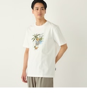SHIPS Colors:TeddyBear(R) コラボ Tシャツ◇