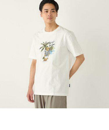 SHIPS Colors:TeddyBear(R) コラボ Tシャツ◇
