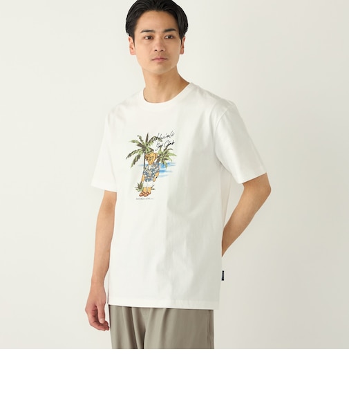 SHIPS Colors:TeddyBear(R) コラボ Tシャツ◇