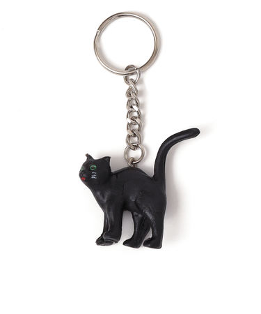 Alfred Fischer:キーリング