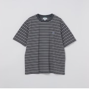 【SHIPS別注】LACOSTE: マイクロ ボーダー Tシャツ