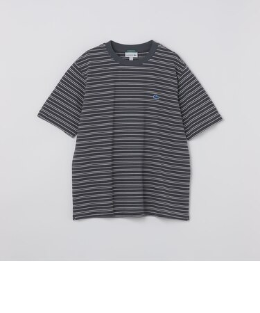 【SHIPS別注】LACOSTE: マイクロ ボーダー Tシャツ