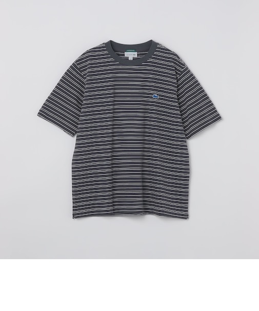 【SHIPS別注】LACOSTE: マイクロ ボーダー Tシャツ