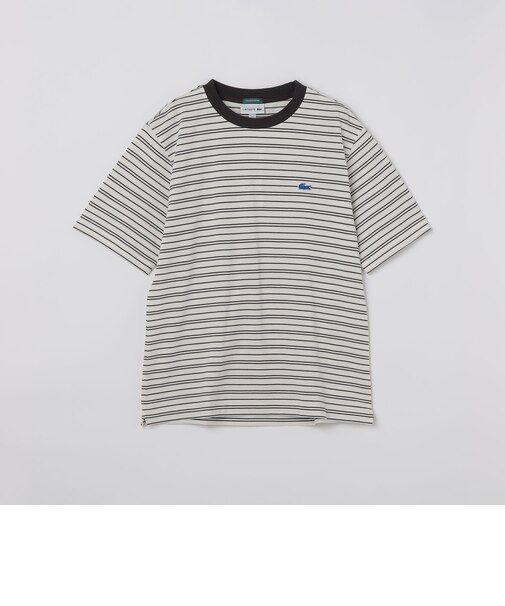 【SHIPS別注】LACOSTE: マイクロ ボーダー Tシャツ