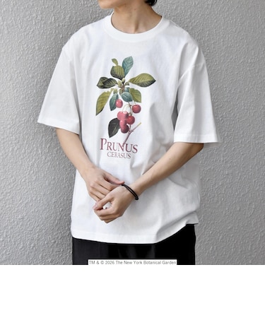 【SHIPS any別注】NYBG: ボタニカル プリント リラックス Tシャツ◆