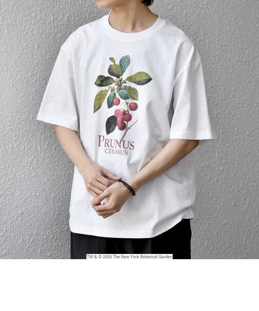 【SHIPS any別注】NYBG: ボタニカル プリント リラックス Tシャツ◆