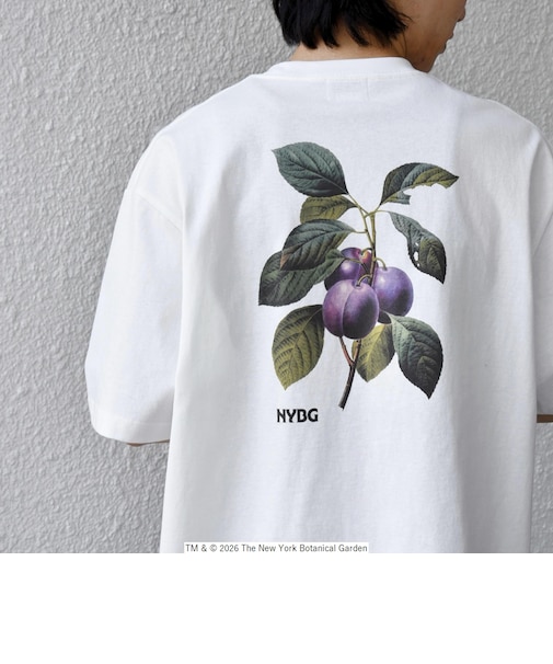 【SHIPS any別注】NYBG: ボタニカル プリント リラックス Tシャツ◆