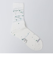 ROSTER SOX:B PAINT