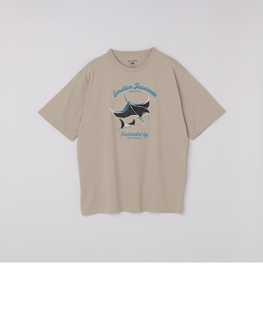 SHIPS Colors:パッチワーク & 刺繍 Tシャツ