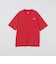 THE NORTH FACE: GAR TYPOGRAPHIC COLORED SHORT SLEEVE
