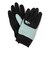 THE NORTH FACE: ヌプシ イーチップ グローブ