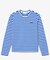 ベーシックボーダーTシャツ