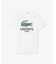 ビッグワニロゴプリントTシャツ
