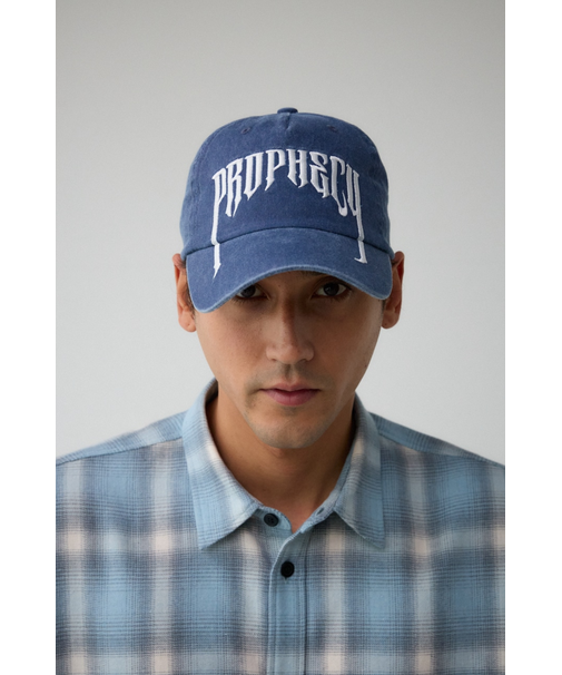 ピグメント刺繍キャップ