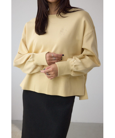 ワンポイントロゴスウェット