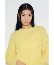 カールヤーンクルーネックニット