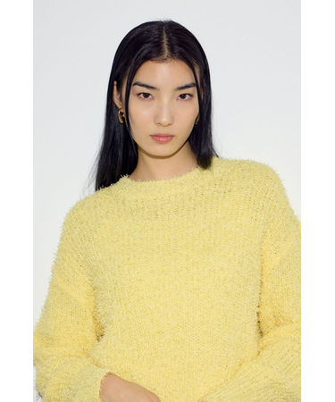 カールヤーンクルーネックニット