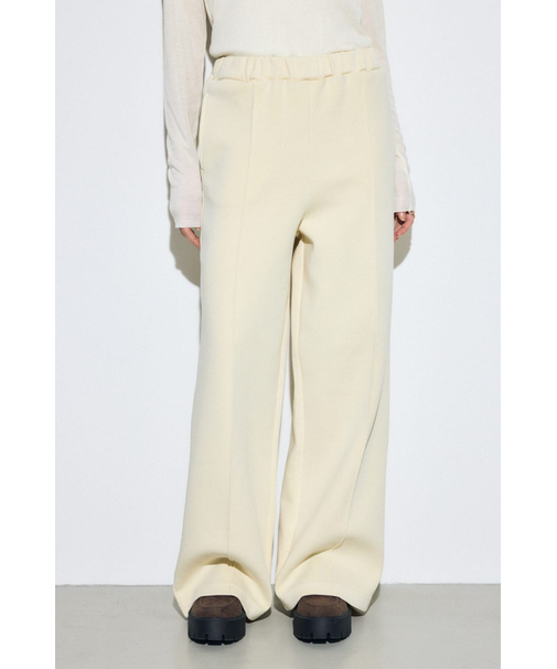 ピグメントピンタックワイドパンツ