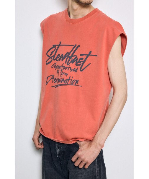 ピグメントノースリ