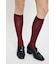 SHEER COLOR SOCKS セット