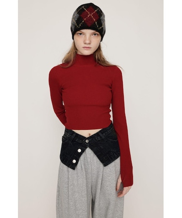 BASIC HG RIB H/N トップス