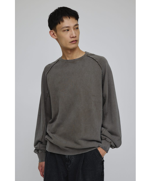 ピグメントダイクルースウェット