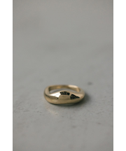 プランプリング