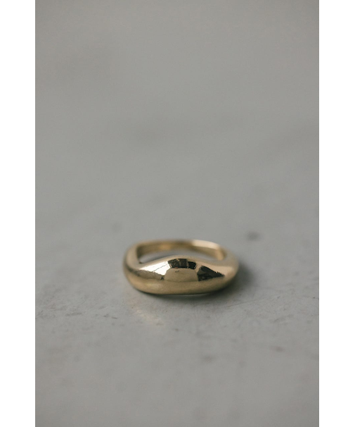 プランプリング