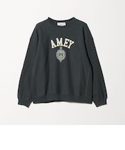 ＜Americana＞ロゴスウェット プルオーバー